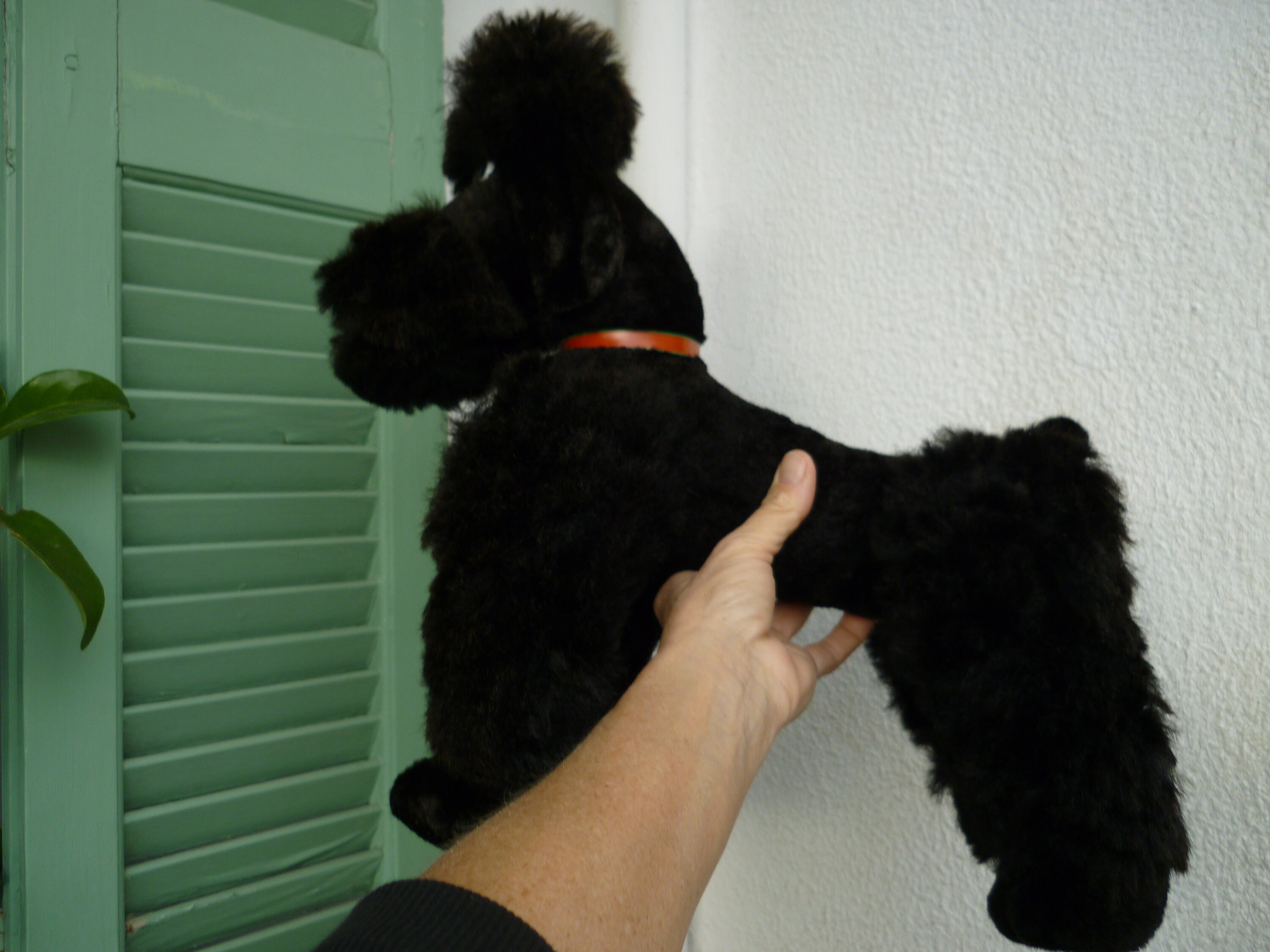 Rare Peluche Chien Caniche Vintage - Tête Pivotante - Yeux En Verre - Paille