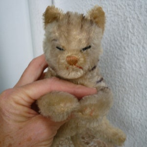 vintage Steiff,floppy kitty cat,very worn mohair,sleeping kitten,No id&#39;s.