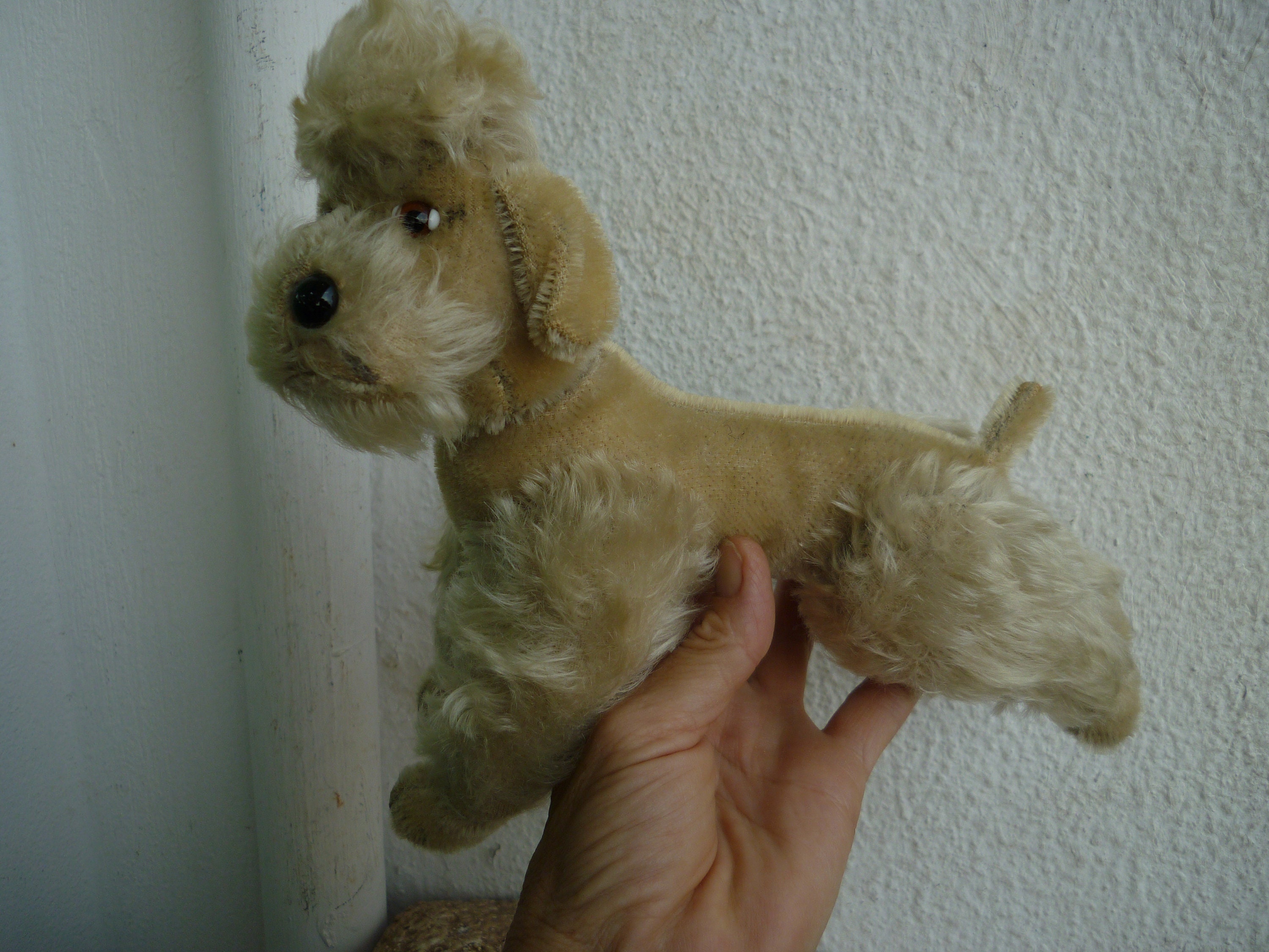 Jouet de caniche steiff - France