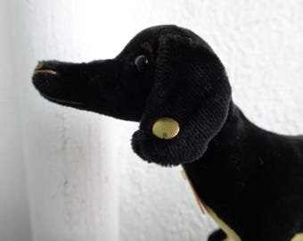 希少なシュタイフ、ユーバーダックス、ベルベットのダシュント犬、1904