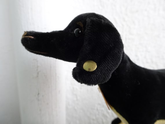 Rare Steiff,uberdax,velvet Daschund Dog,1904 Replica,blank Button