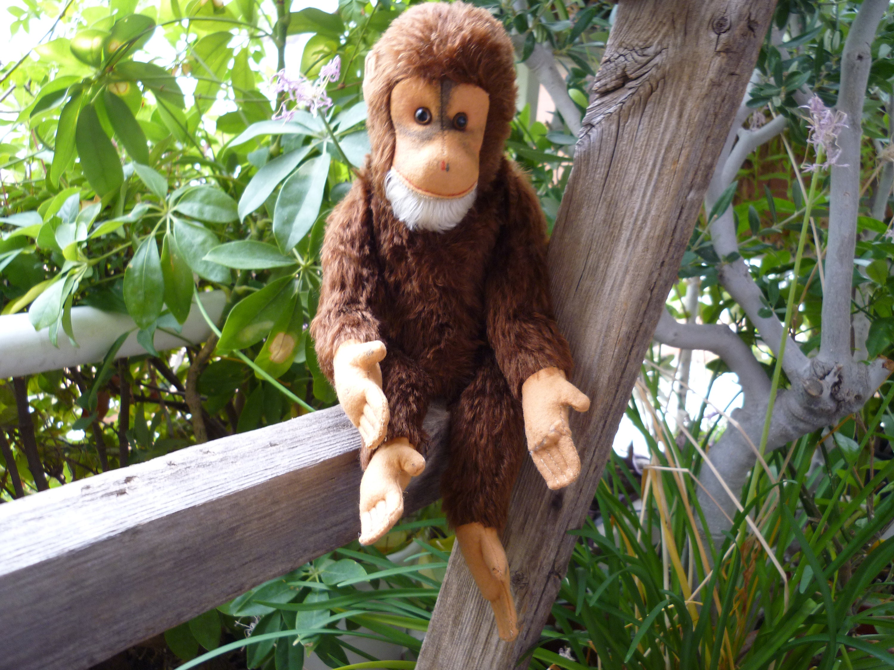 Vintage 14'' Hermann,chimpanzee,monkey,cuddly Chimp,working Vintage 14'' Hermann,chimpanzee,monkey,cuddly Chimp,working