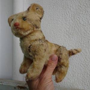 vintage,Steiff,5 way jointed kitty cat,17cm.kitty,green,glass eyes,silverscript ear button,very worn.