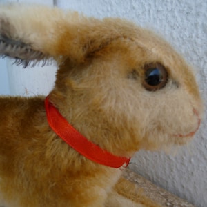 May include: A plush brown bunny with a red ribbon around its neck. The bunny has a soft, fuzzy texture and large, dark eyes.