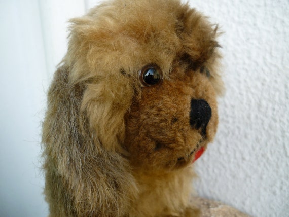 Peluche Chien Caniche Ancien - Tête Pivotante - Yeux En Verre - Vintage