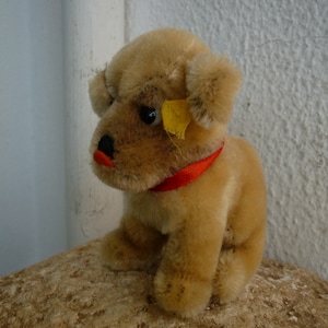vintage,1950&#39;s seated,Steiff Mopsy pug,mohair,dog,swivel head,silverscript button.