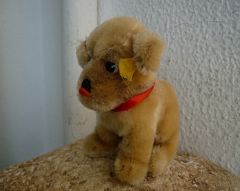 Steiff Dog Mopsy 4010/12 - Etsy