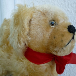 vintage, Frans, hout gevuld, mohair hond, hond, glazen ogen, genaaide neus, vaste positie. Geen ids.