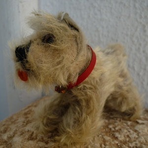 antieke Steiff, Tessie, kleine schnauzer, gevulde hond met rode halsband, geen ids.