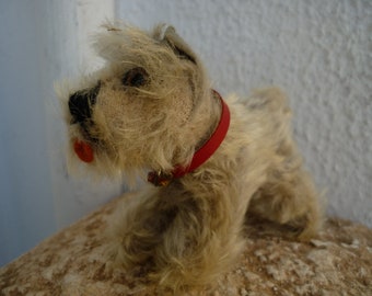 antique Steiff,Tessie,small schnauzer,stuffed dog with red collar,no ids.