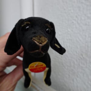 Könnte beinhalten: Schwarzes Plüschtier Dackel mit brauner Nase und einem gelben Etikett mit der Aufschrift "Original Steiff".
