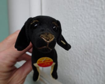 Rare Steiff,uberdax,velvet Daschund Dog,1904 Replica,blank Button