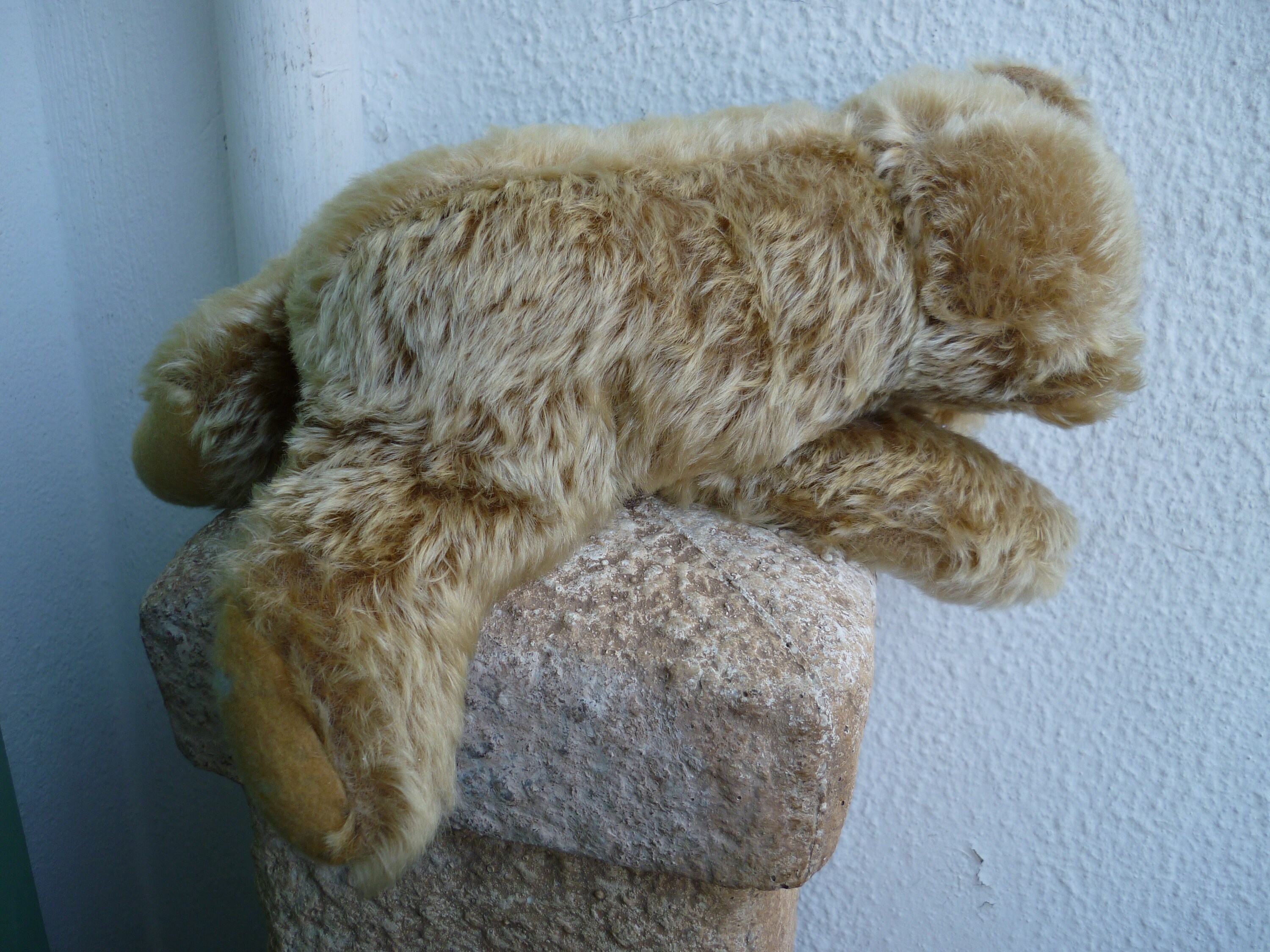 ビンテージ シュタイフ、フロッピー、ゾッティ、モヘア、眠っている