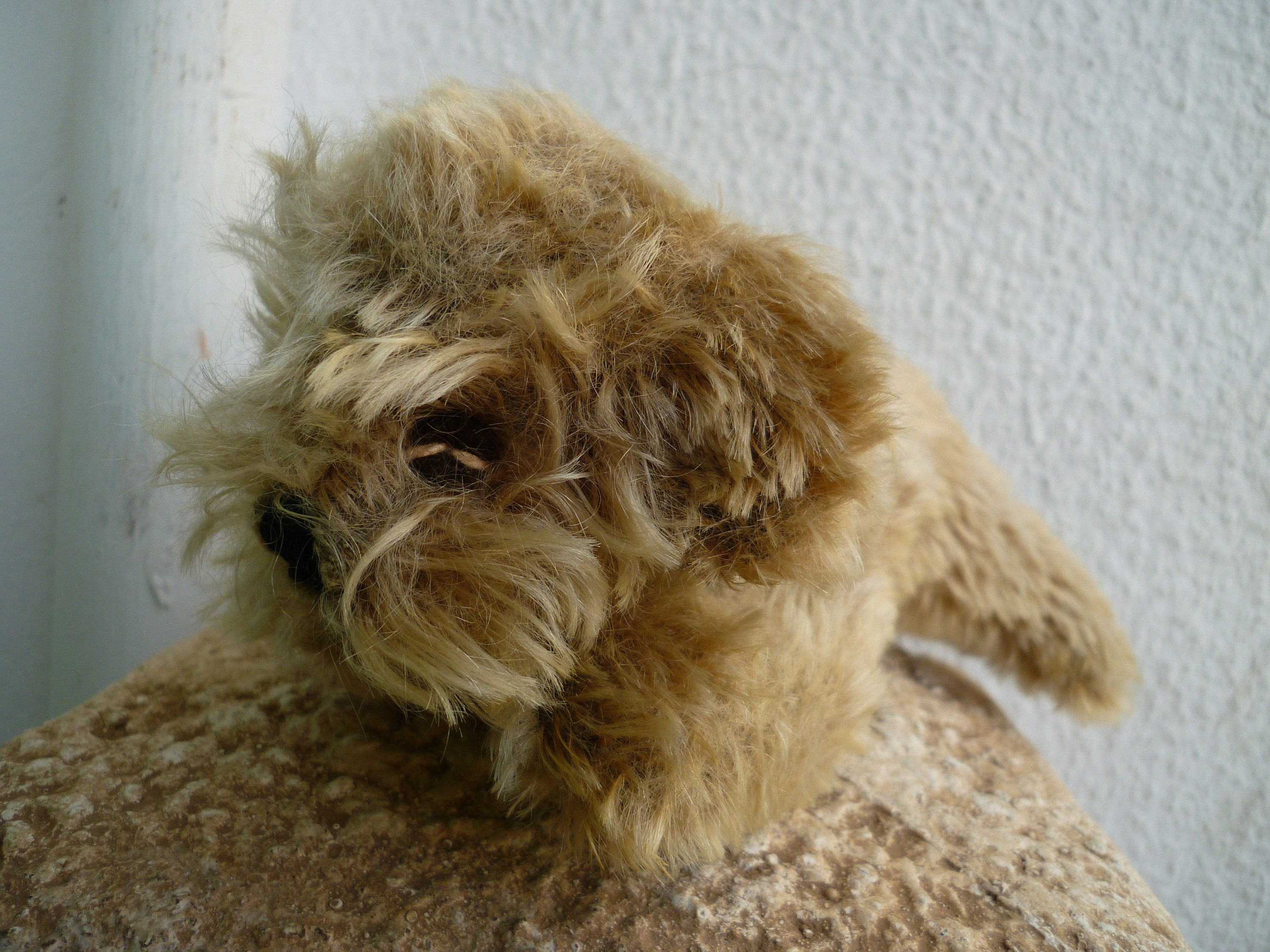 Vintage,steiff,sleeping Raudi Dachshund,mohair Dog,no Ids. - Etsy