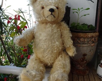 1920年代のドイツ製アンティークテディベア、ニュルンベルクのウィリー