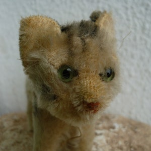 Steiff tabby cat - Etsy 日本