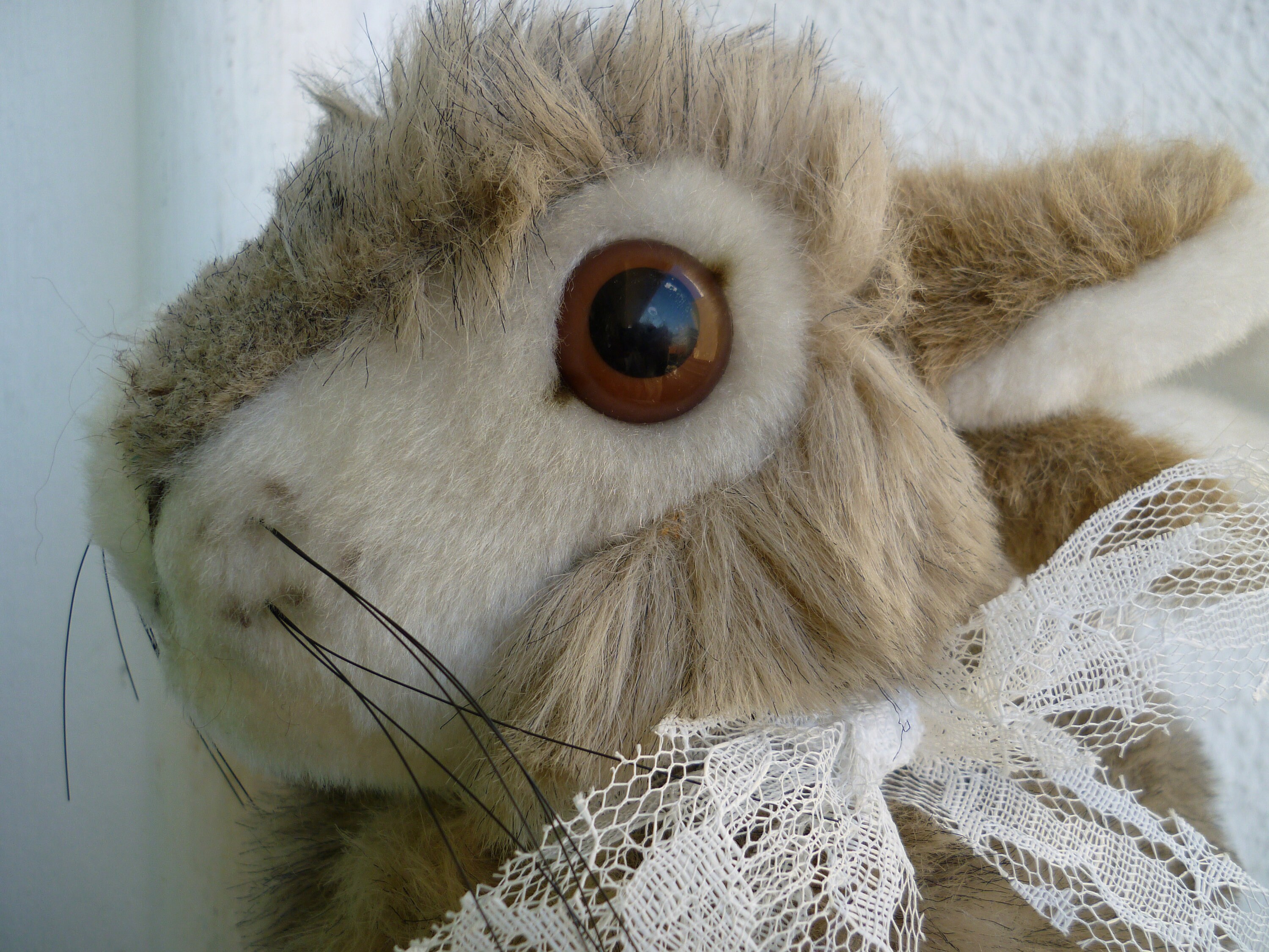 ANCIEN OURS PELUCHE BOUCHE OUVERTE YEUX DE VERRE BLEUS 37cm TOP