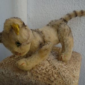 vintage 1950&#39;s Steiff,fully jointed kitty cat,kitten,glass eyes,mohair,ear label & silverscript button.