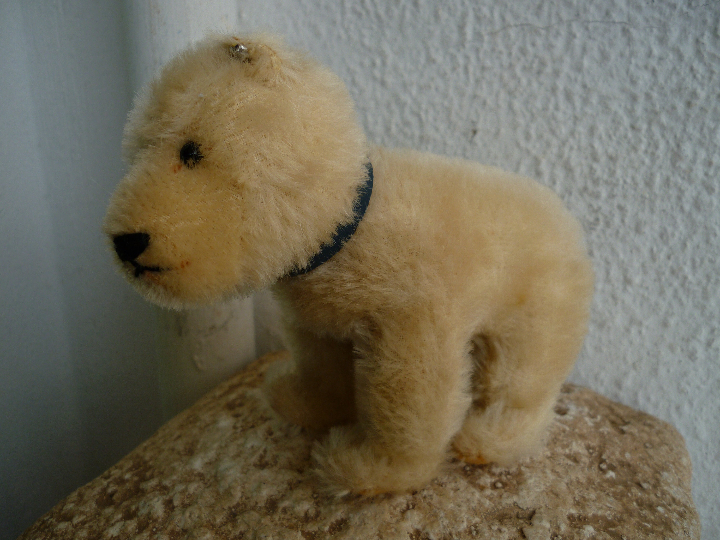 Vintage,4'' Steiff Polar Bear,mohair Eisbar,raised Silverscript