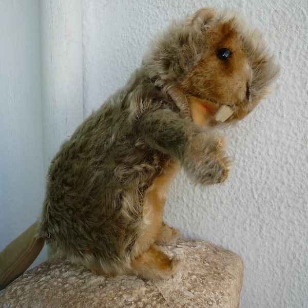 vintage,large 9'' Steiff,Nagy beaver,wood stuffed,mohair,glass eyes,swivel head.No id's