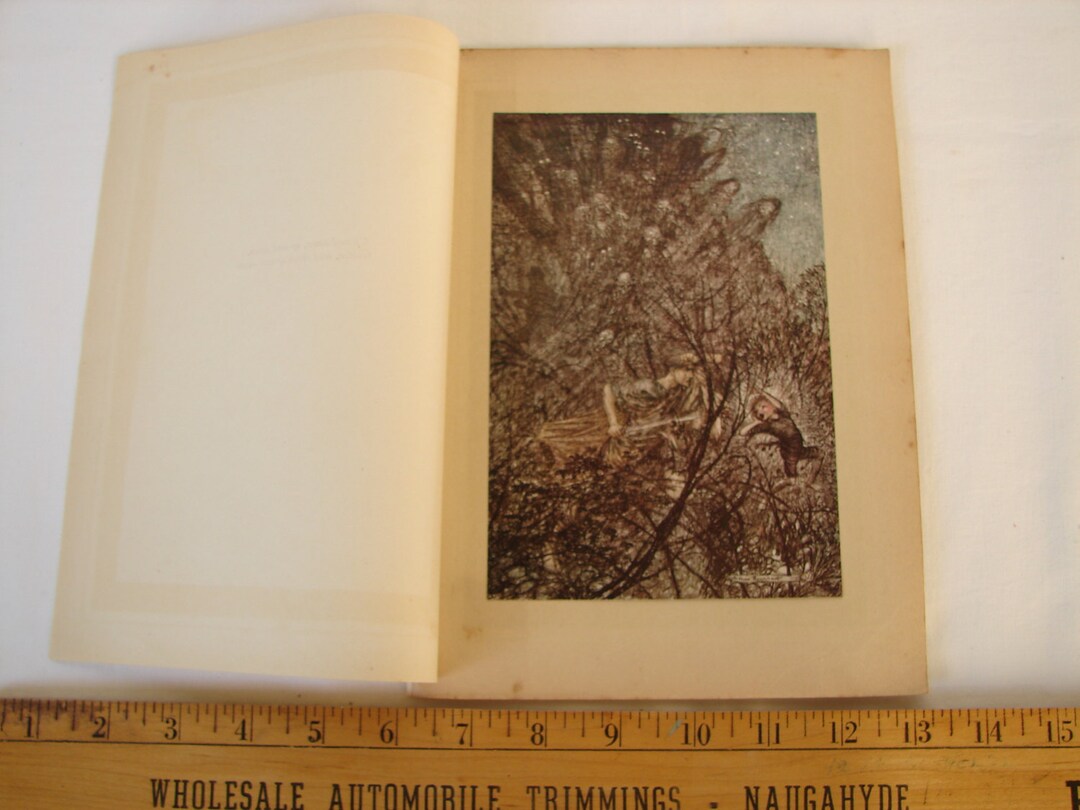 Original 1920 Arthur Rackham, Tipped in Book Plate, Print. up and Down ...