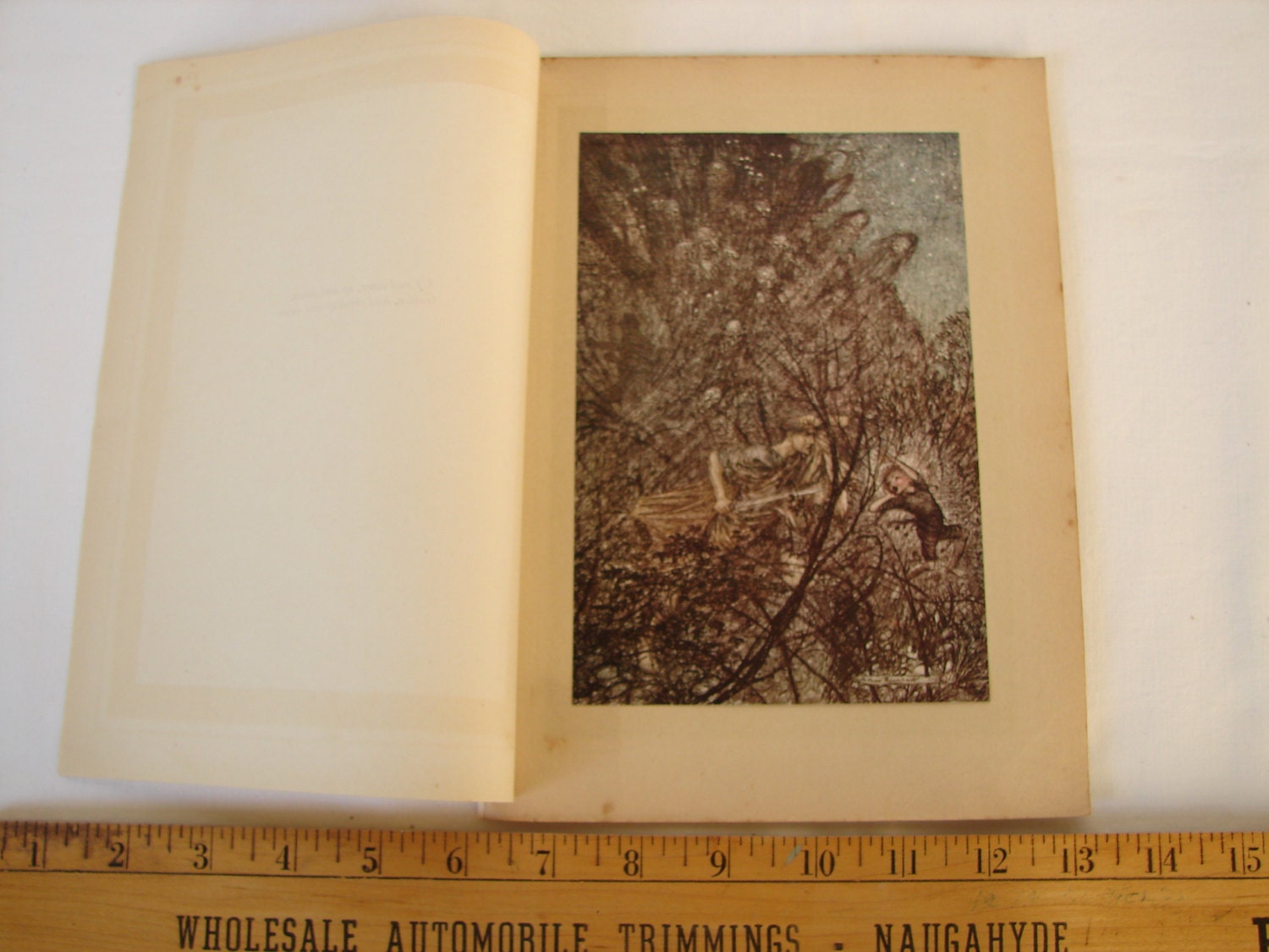 Original 1920 Arthur Rackham, Tipped in Book Plate, Print. up and Down ...