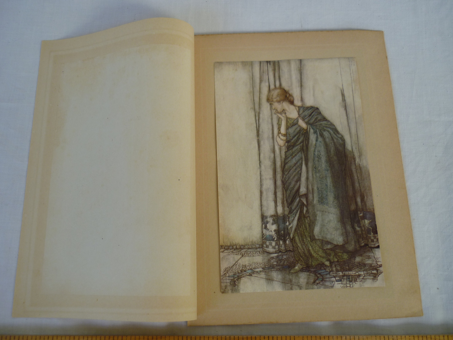 1920 Arthur Rackham Fairies,midsummer Night's Dream,tipped-in Book ...