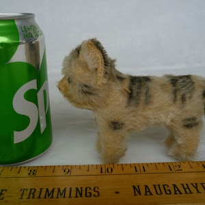 vintage,Steiff,tabby cat,stuffed kitty,green,glass eyes,sewn nose,mohair,No ids