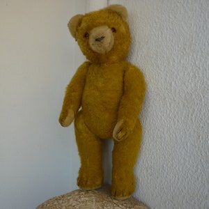 antique,fully jointed,15&#39;&#39;teddy bear,straw stuffed,glass eyes,sewn nose,claws.