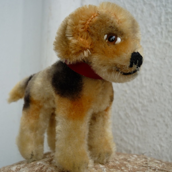 vintage,rare,Steiff smallest size,4'' /10cm,Biggie beagle,mohair dog,glass eyes,red collar,no ids.