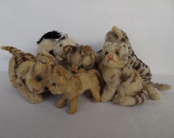 Lot 6 vintage,Steiff,mohair cats all with silverscript ear buttons
