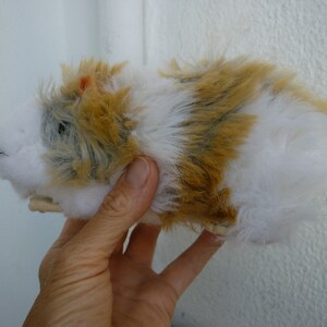 May include: A white and brown plush toy hamster with black whiskers.