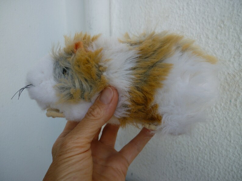 May include: A white and brown plush toy hamster with black whiskers.