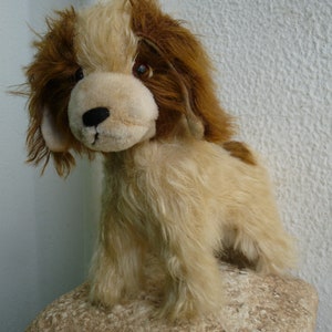 vintage,rembourré en bois,débraillé,chien épagneul,chien,yeux de verre,position fixe.Pas d'identification.