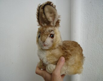 Buy Vtg.steiff,pummy,bunny Rabbit,swivel Head,glass Eyes,ear