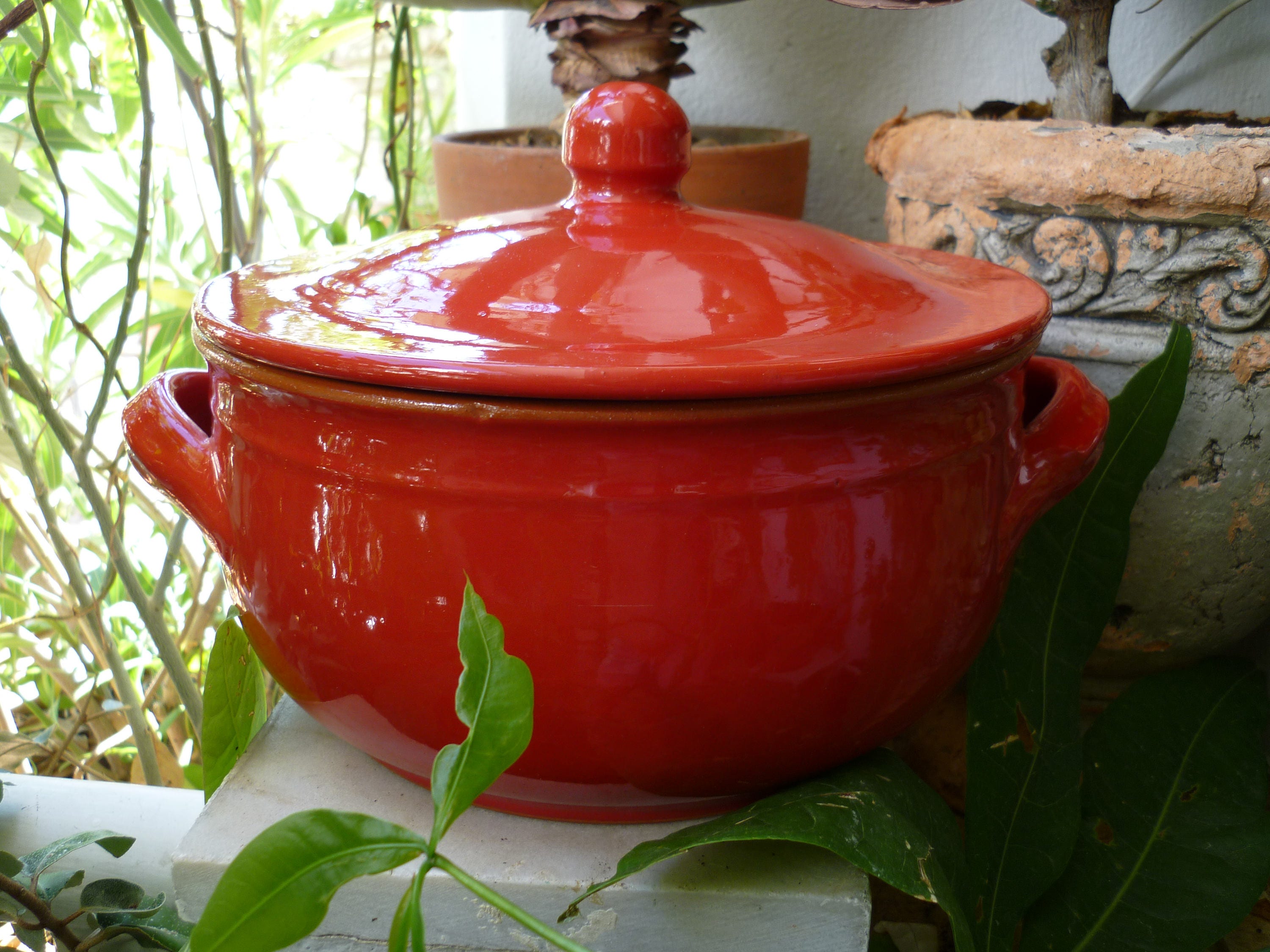 Clay Pot for Cooking Dutch ovens Oval Enamelled cast Iron Casserole Mini  Pot (Color : Black) (Red) Casserole