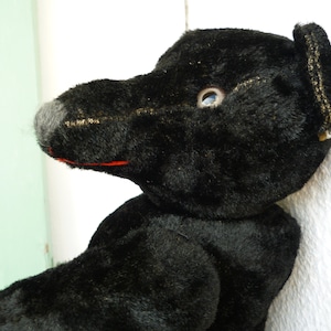 vintage,black,plush teddy bear,humpback,fully jointed,long snout,wood stuffed,glass eyes.