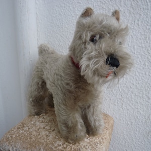 Steiff schnauzer - Etsy 日本