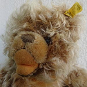 Steiff zotty bear - Etsy 日本