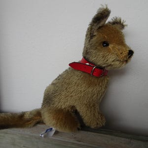 vintage, Schildkrot, peluche, tipo terrier, cane con collare originale.