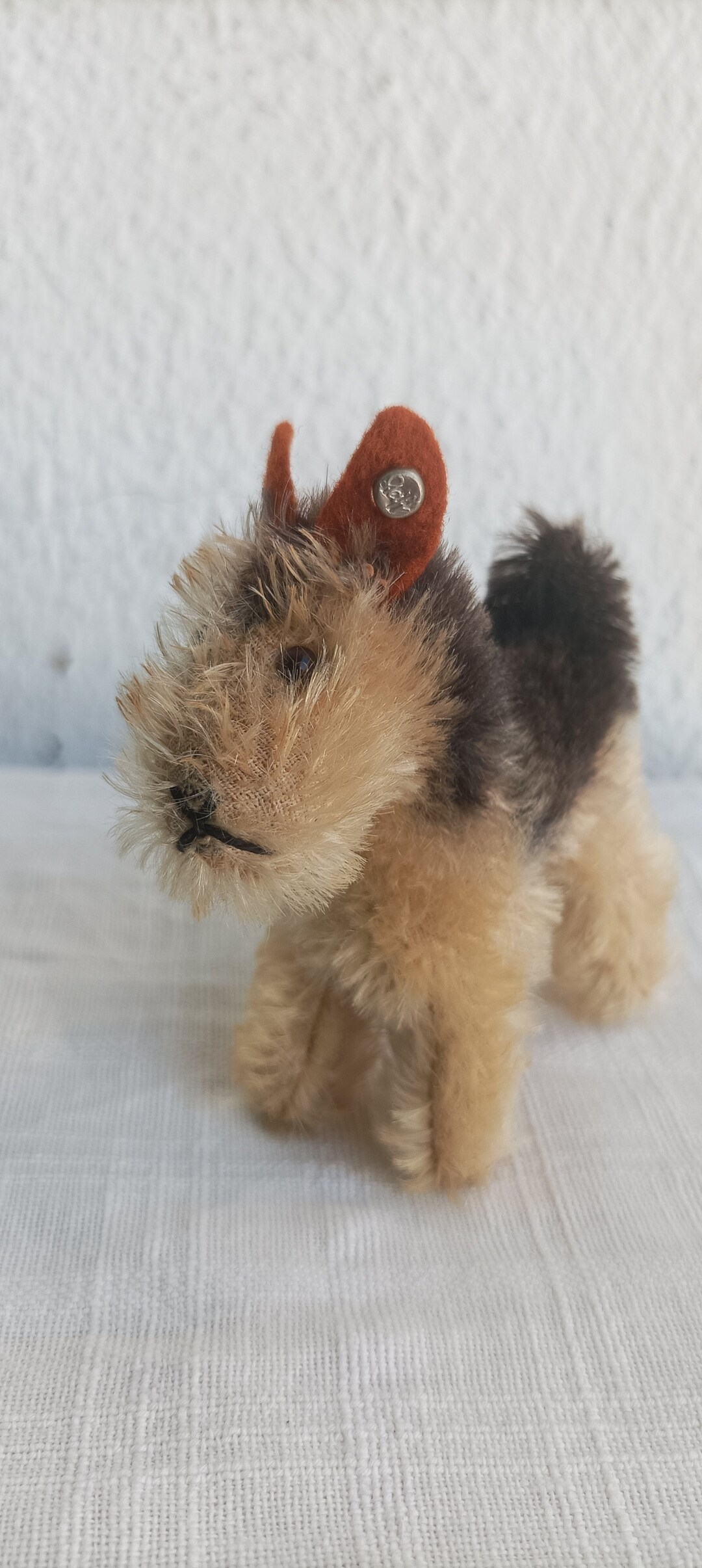 Airedale terrier : prix, caractère, éducation, alimentation et soins