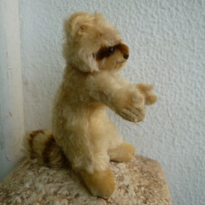 RARE Steiff, 6&#39;&#39; Raccy Racoon, criatura mohair, olhos de vidro, cabeça giratória, sem identificação.