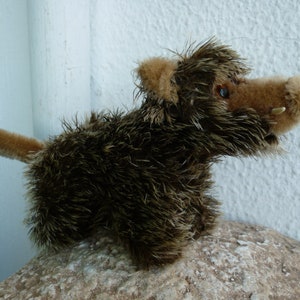 vintage,deutsch,grausig,Wildschwein,Schwein,mit id.Mohair,Glasaugen.