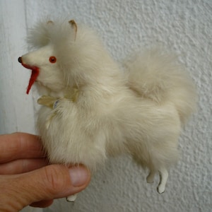 Spitz, samoyède, original, ouest-allemand, chien de salon, fourrure de lapin, compagnon pour poupée ancienne.