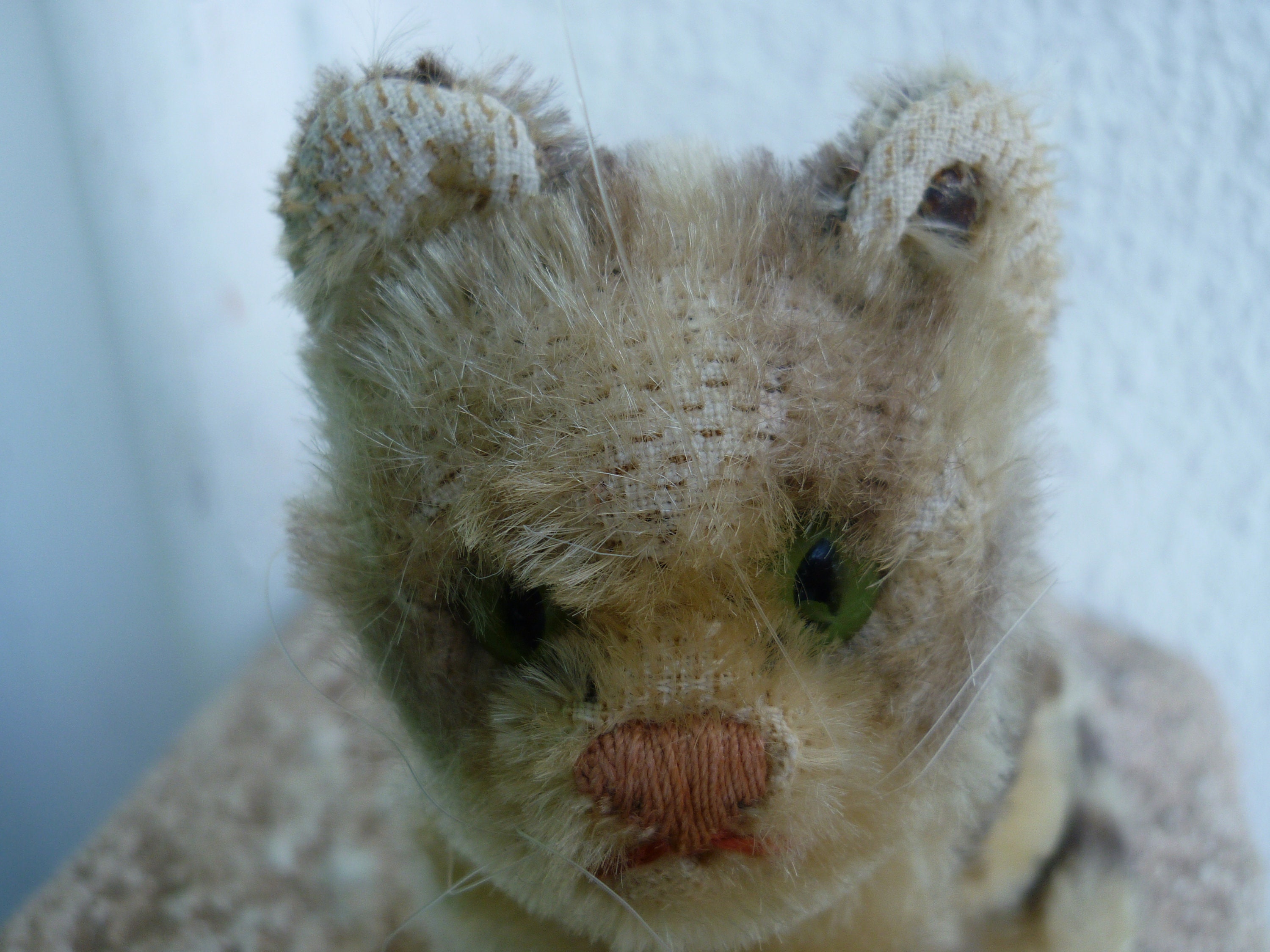 Vintage,steiff Susi,sitting Cat,very Worn,kitty,green Eyes