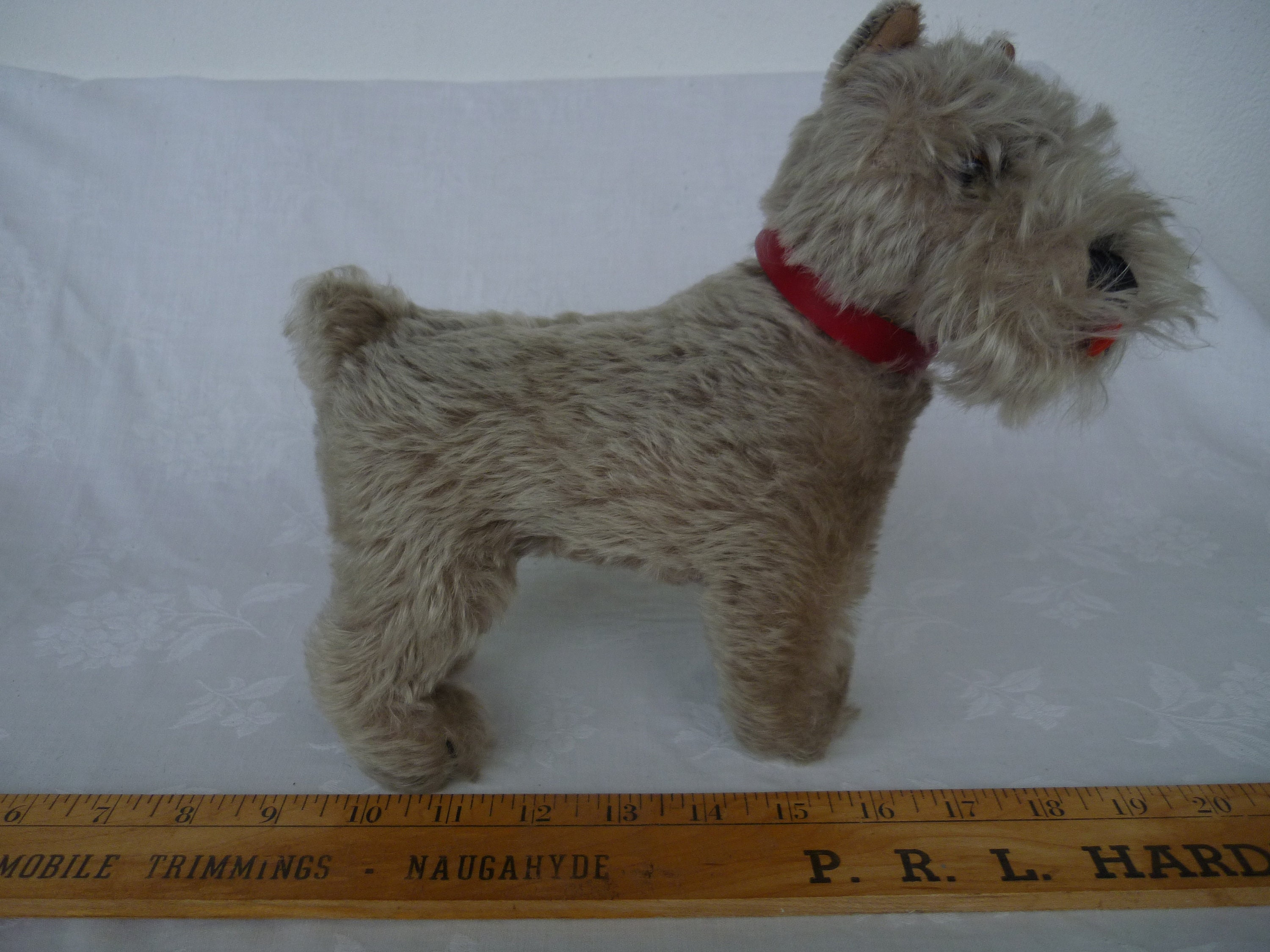Rare,9'' Steiff Tessie,light Gray,grey,schnauzer Dog,red Collar,no