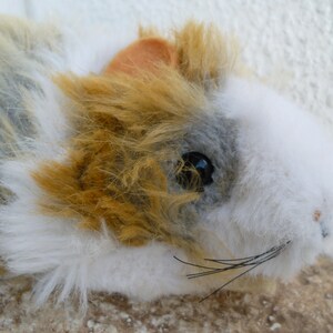 May include: A plush toy of a guinea pig with white, brown, and gray fur. The toy has black whiskers and a small, pink nose.