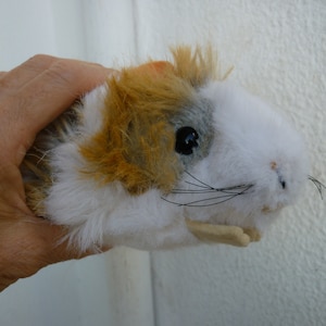 May include: A white, brown, and gray plush toy guinea pig with black whiskers and a black eye. The guinea pig is being held by a hand.