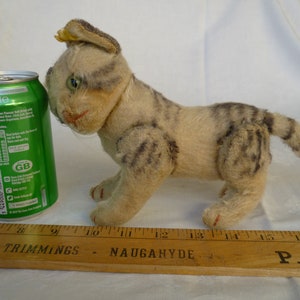 vintage,Steiff,fully jointed kitty cat,17cm. kitten,green,glass eyes,sewn nose,mohair,swivel head,jointed limbs,silverscript button.
