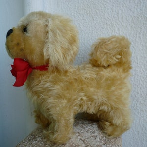 vintage, francese, imbottito in legno, cane in mohair, cane, occhi di vetro, naso cucito, posizione fissa. Nessun ID.